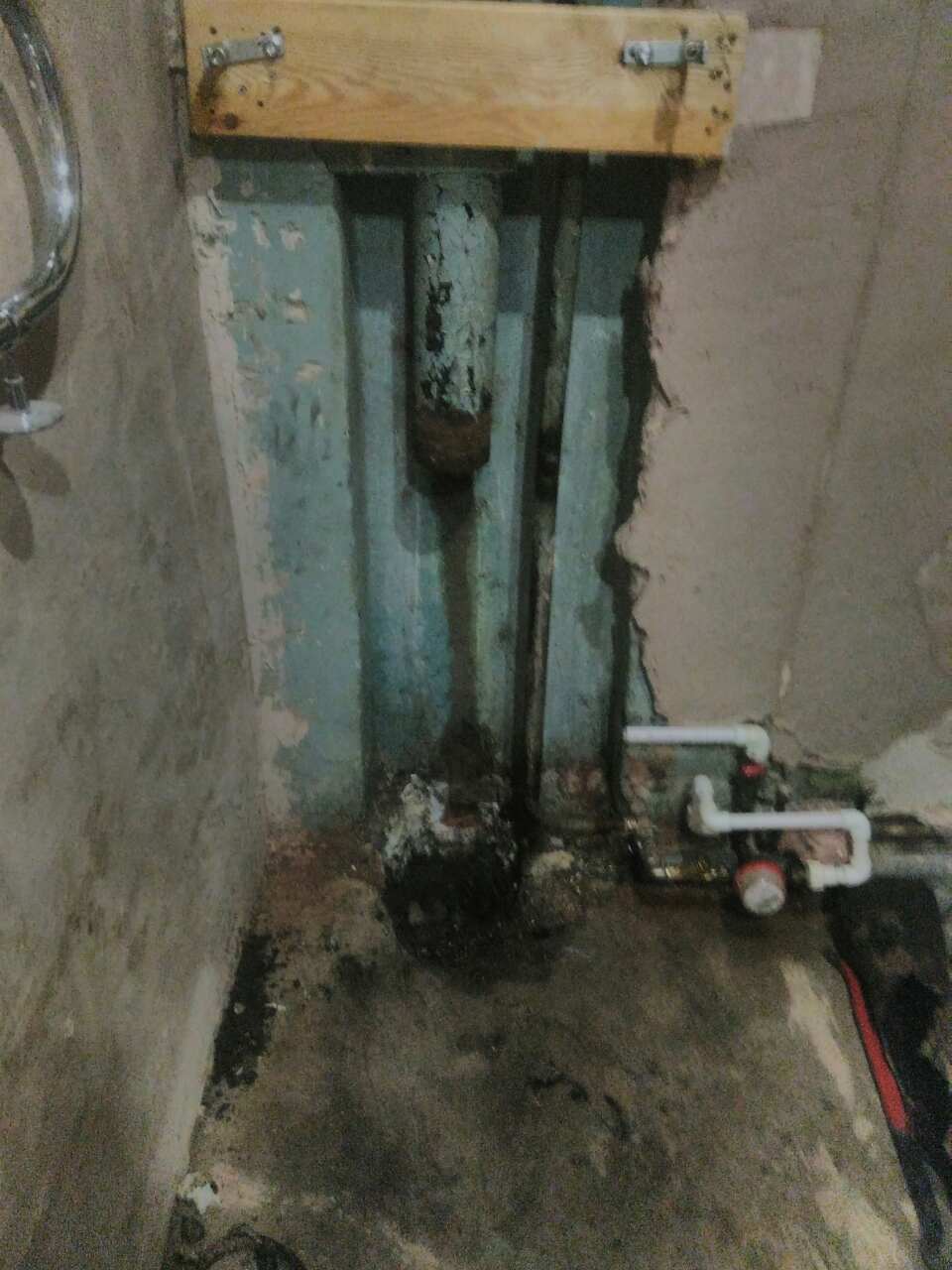 Nuotrauka 10