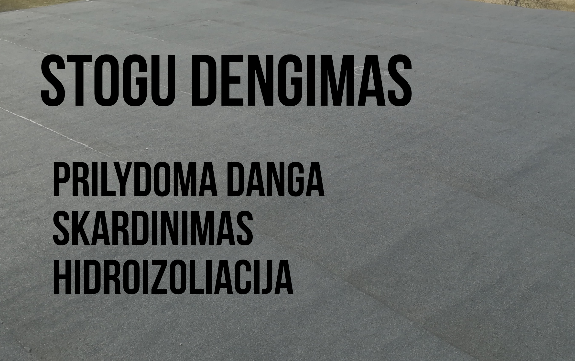 Mindaugas Rimkus
