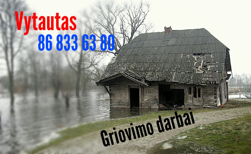 Nuotrauka 4