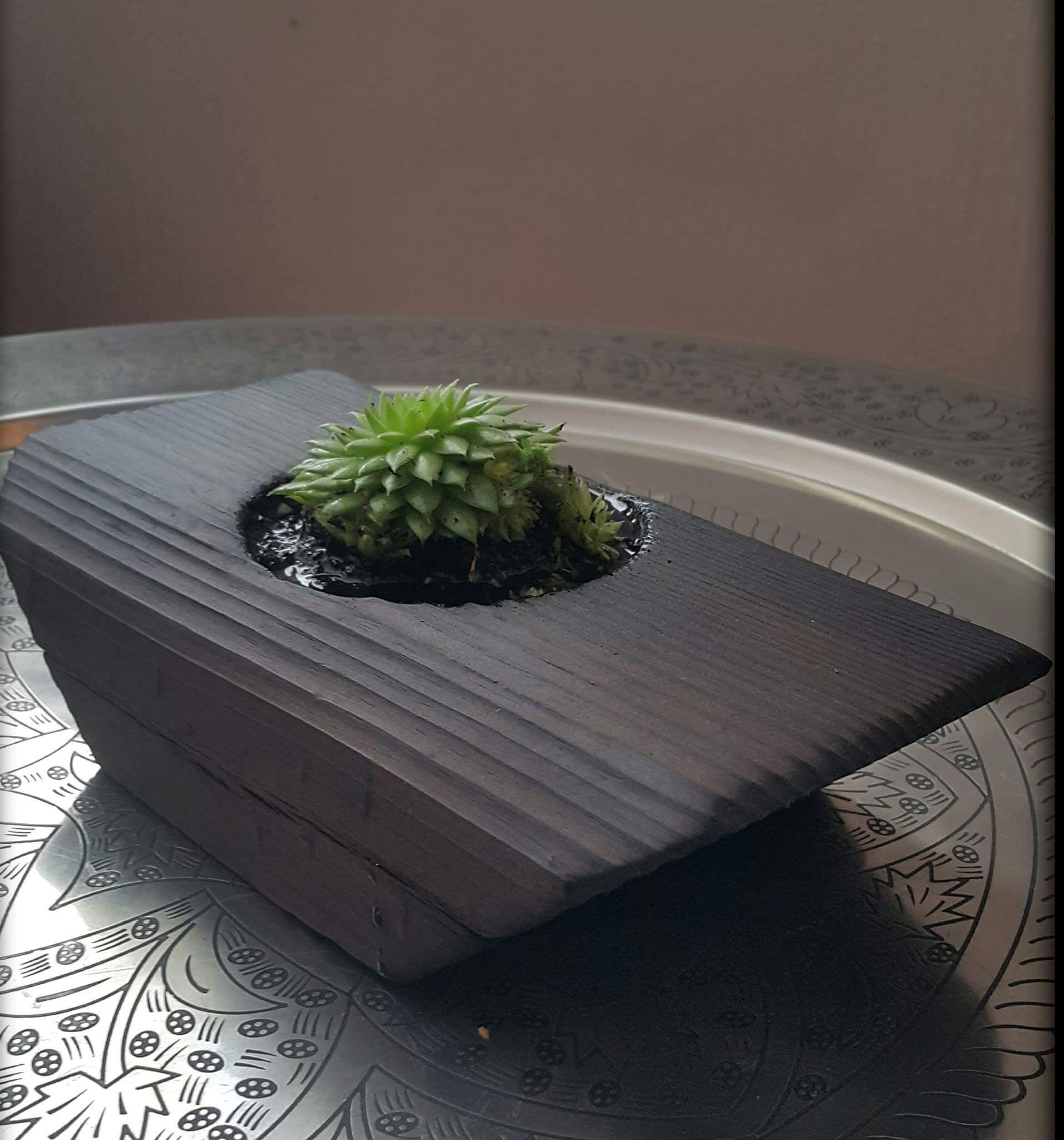 Nuotrauka 3