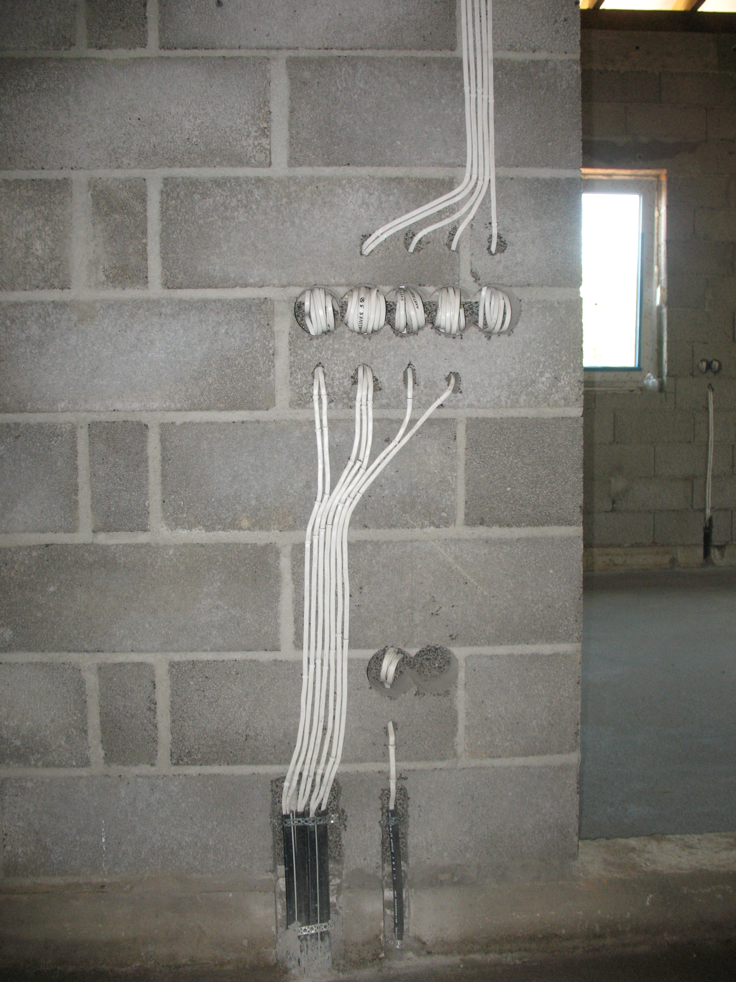 Nuotrauka 6
