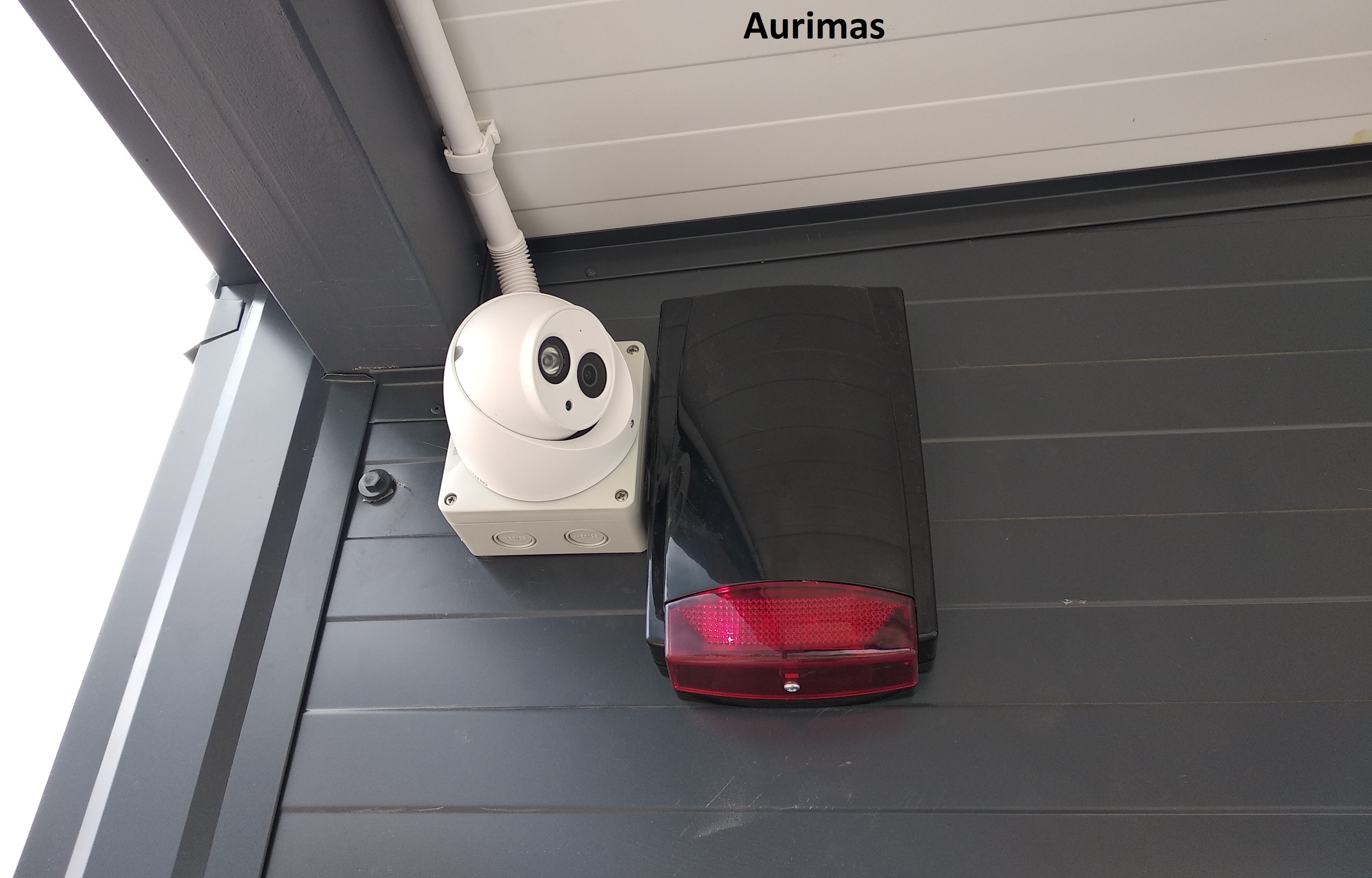 Nuotrauka 4