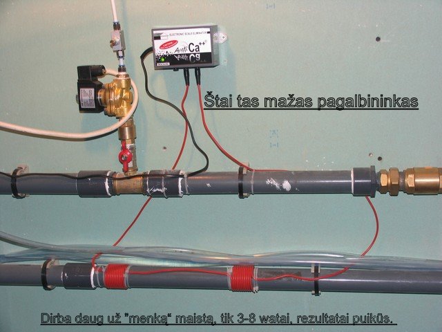 Nuotrauka 1