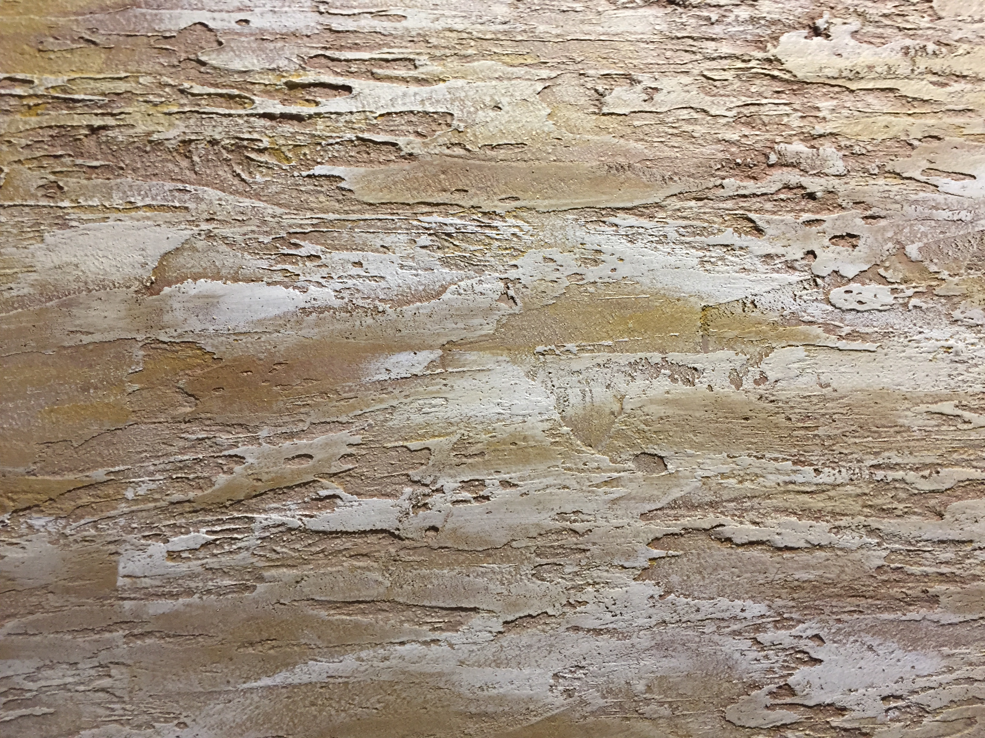 Nuotrauka 6