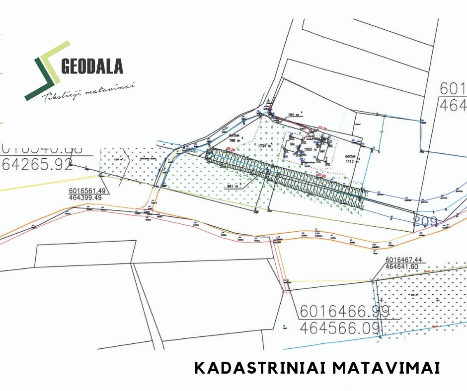 Nuotrauka 3