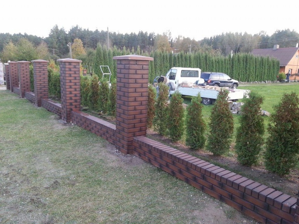 Nuotrauka 10