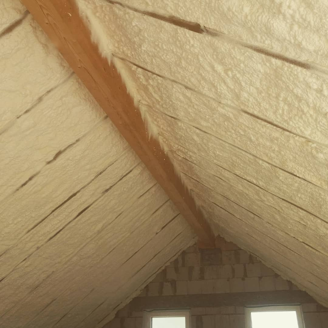 Nuotrauka 8