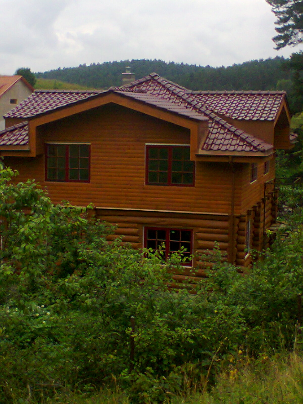 Nuotrauka 1