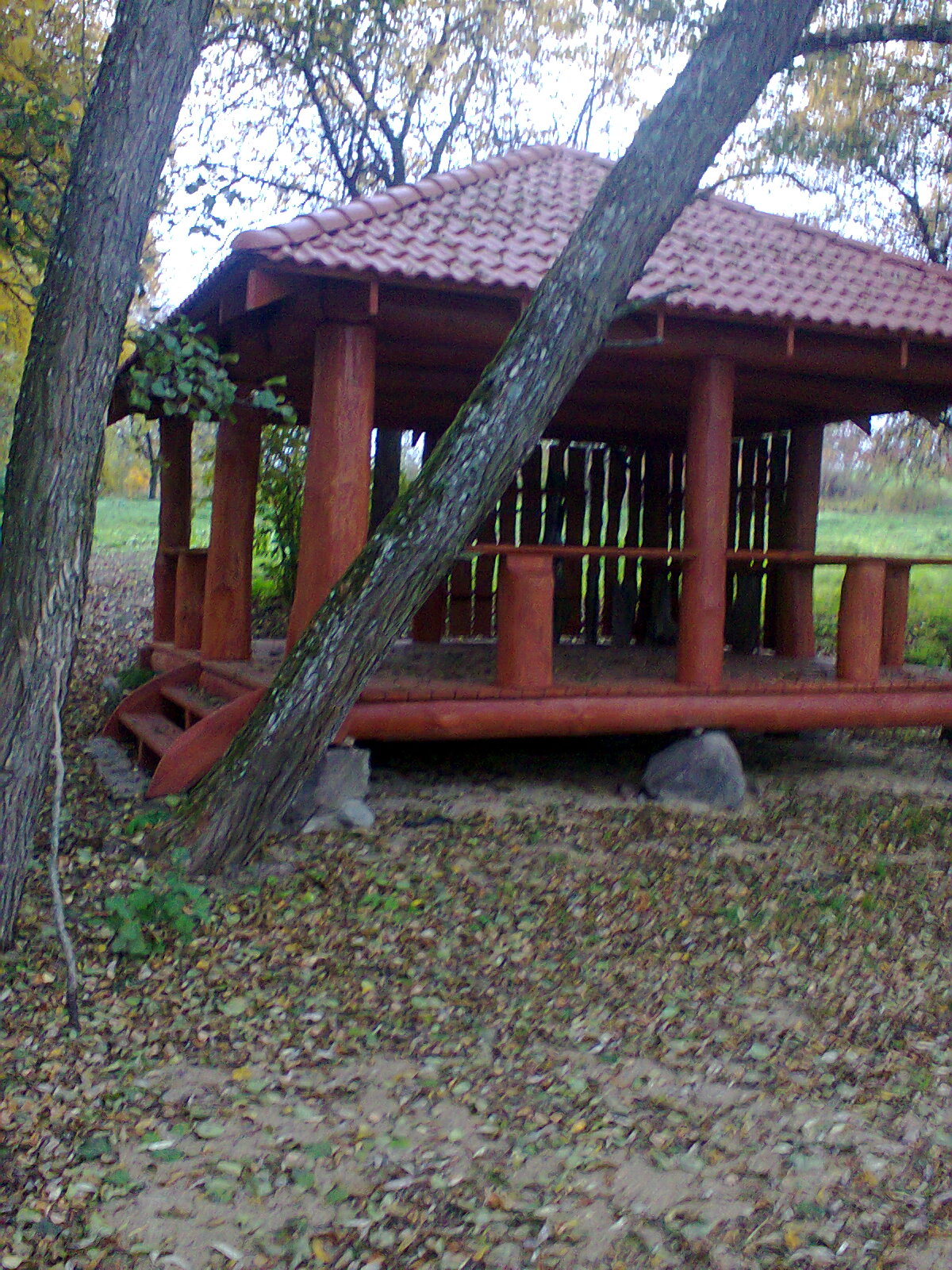 Nuotrauka 8