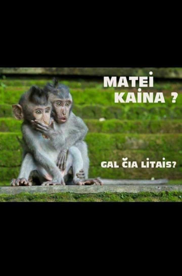 Vytautas Cepaitis