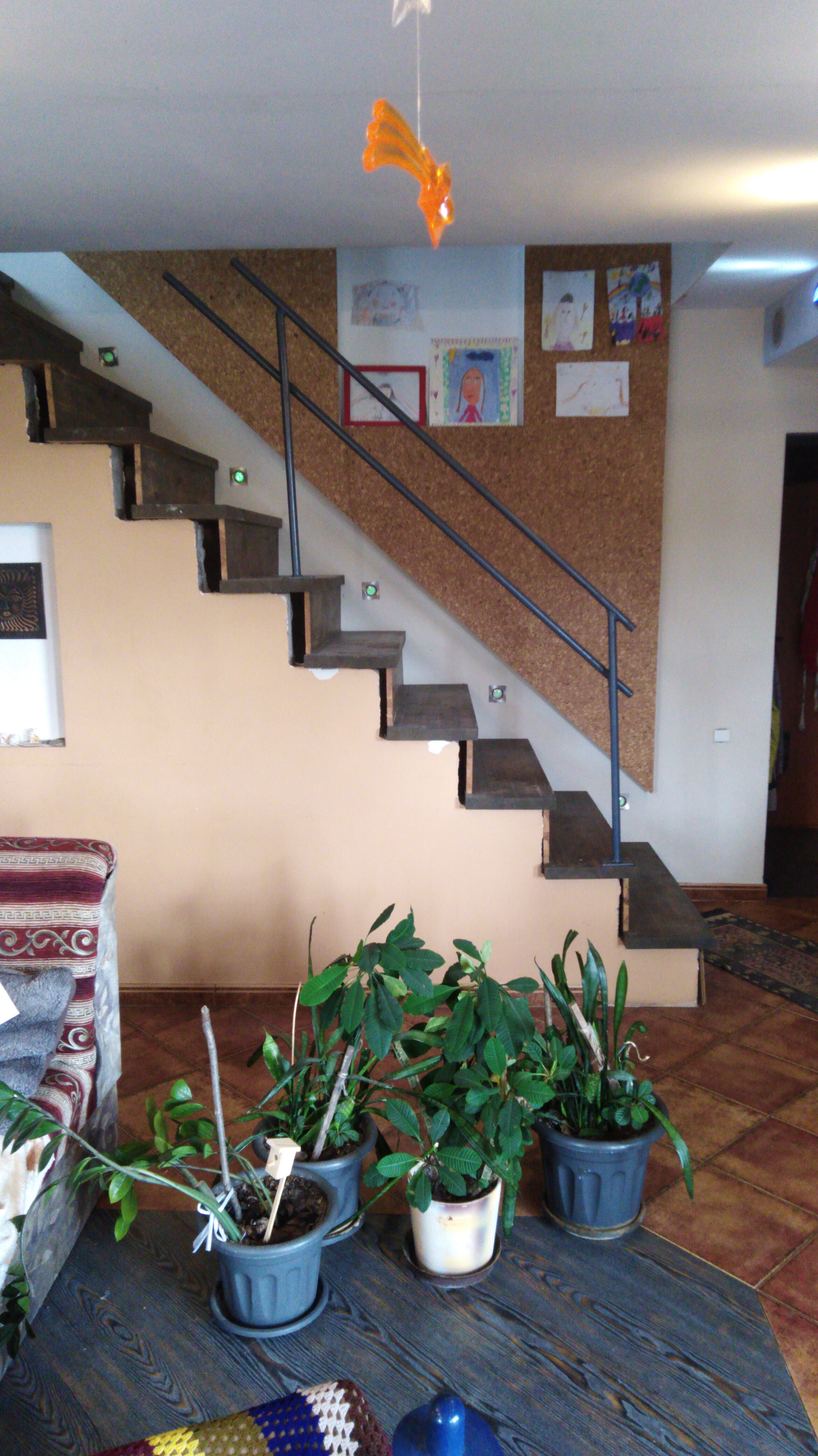 Nuotrauka 4