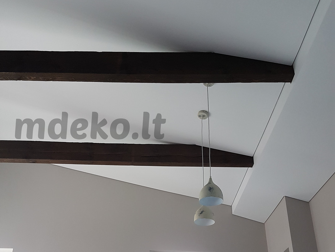Nuotrauka 10