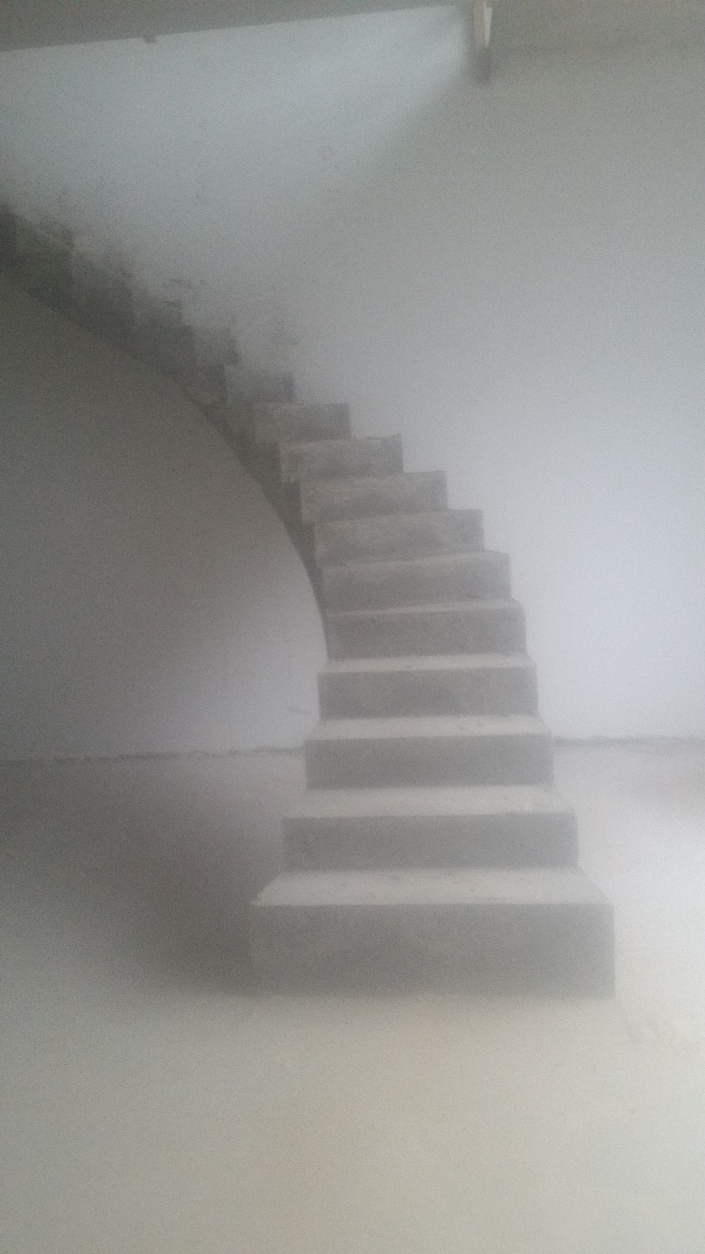 Nuotrauka 10