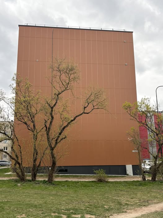 Darbo nuotrauka 1
