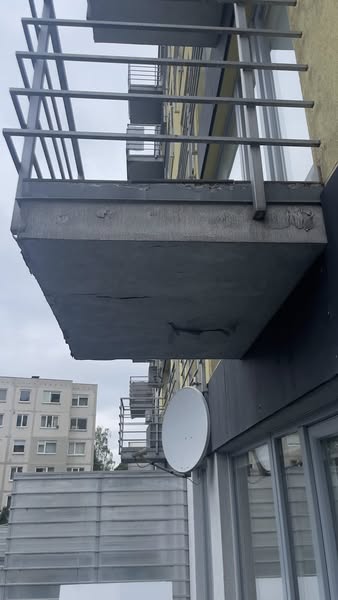 Darbo nuotrauka 3