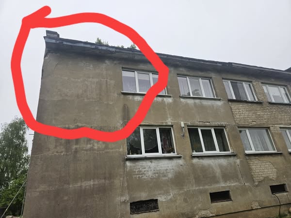 Darbo nuotrauka 2