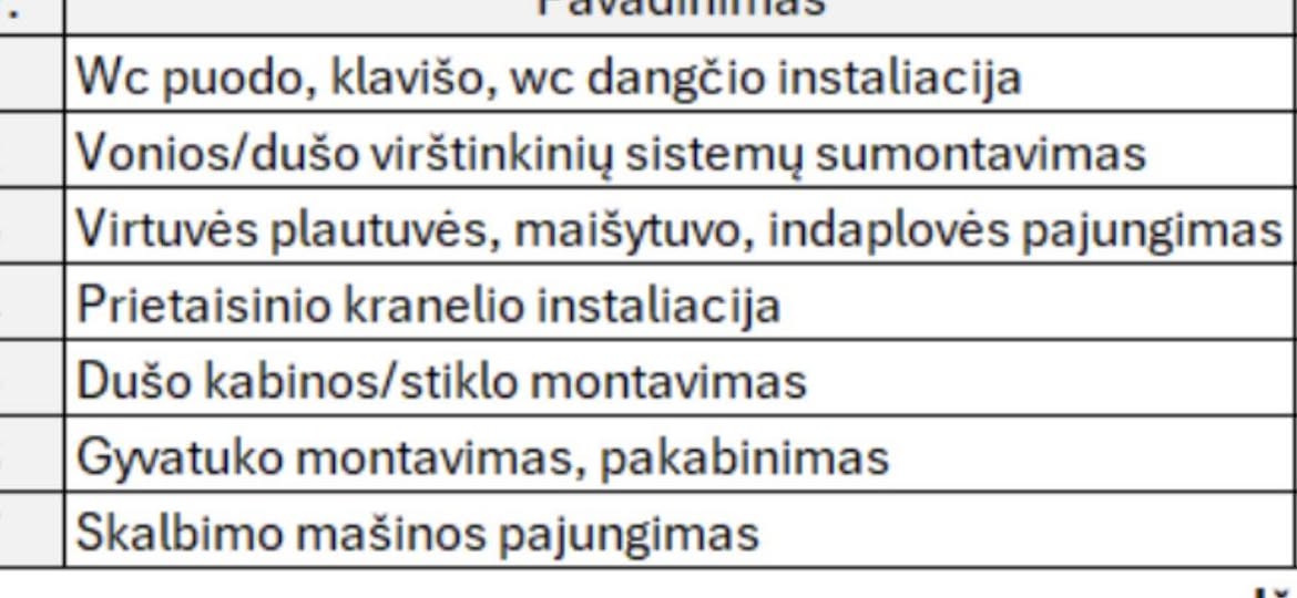 Darbo nuotrauka 1