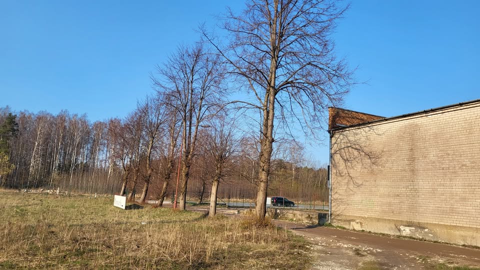 Darbo nuotrauka 1