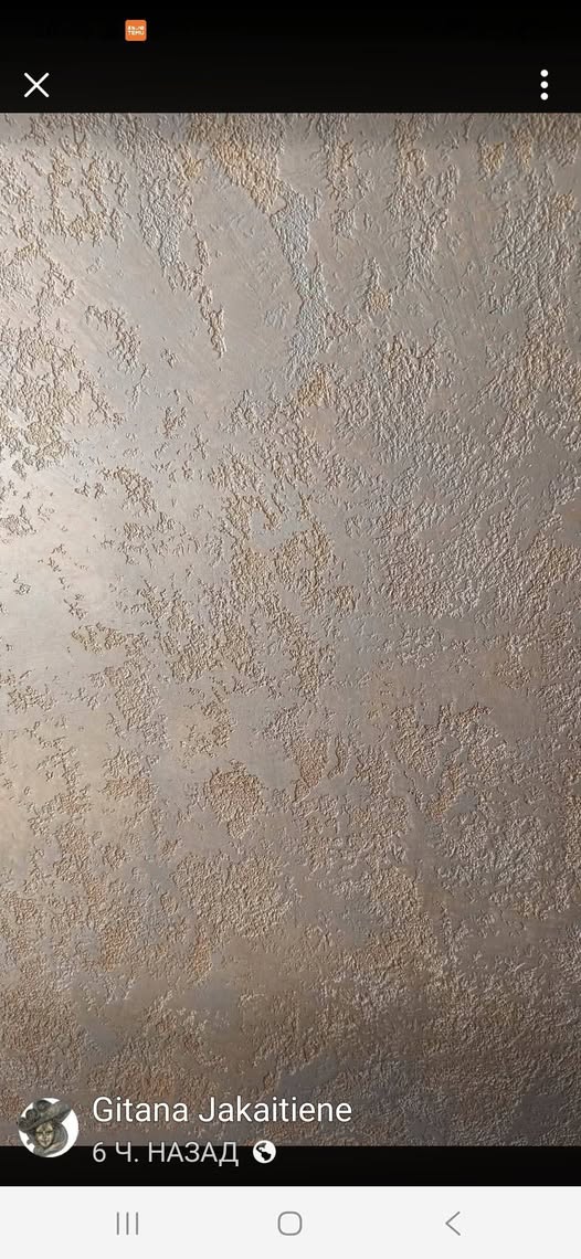 Darbo nuotrauka 1