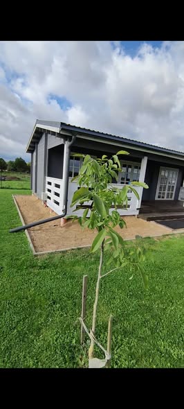 Darbo nuotrauka 1